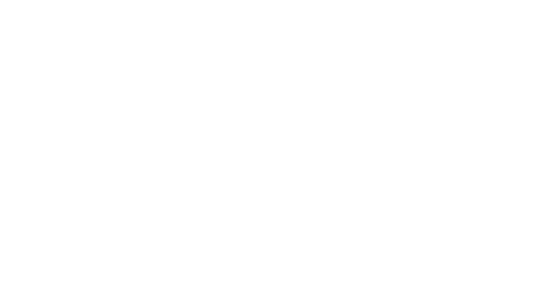 WR Hall Insurance Group - Logo 500 White